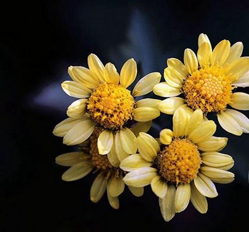 治疗脸上的痘痘最有效的办法,快速有效解决脸上痘痘的方法