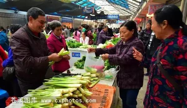 东溪古镇街景,苍溪县古镇全景图