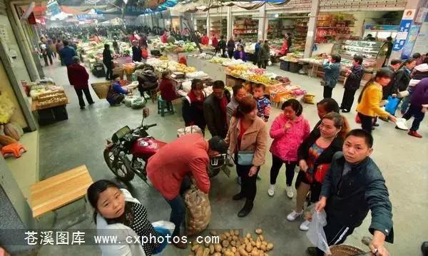 东溪古镇街景,苍溪县古镇全景图