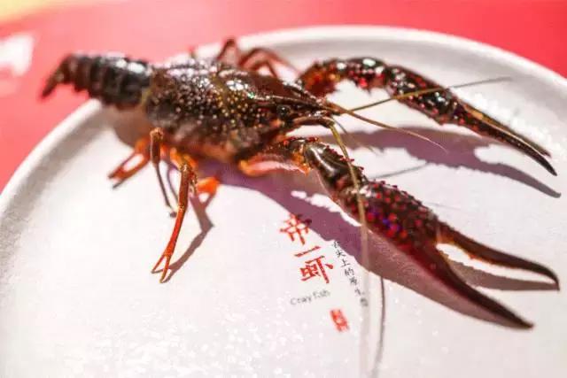 老板壕打5.8折,全年无休摄魂小龙虾,逼爆头我都要吃到Ta