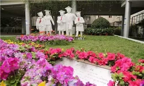 武侯一片区学校,武侯片区小学