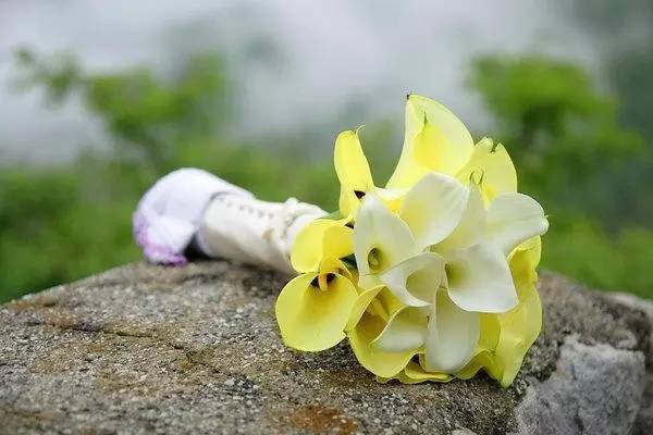 送自己一份独一无二的手捧花,你最喜欢哪一束美丽的手捧花