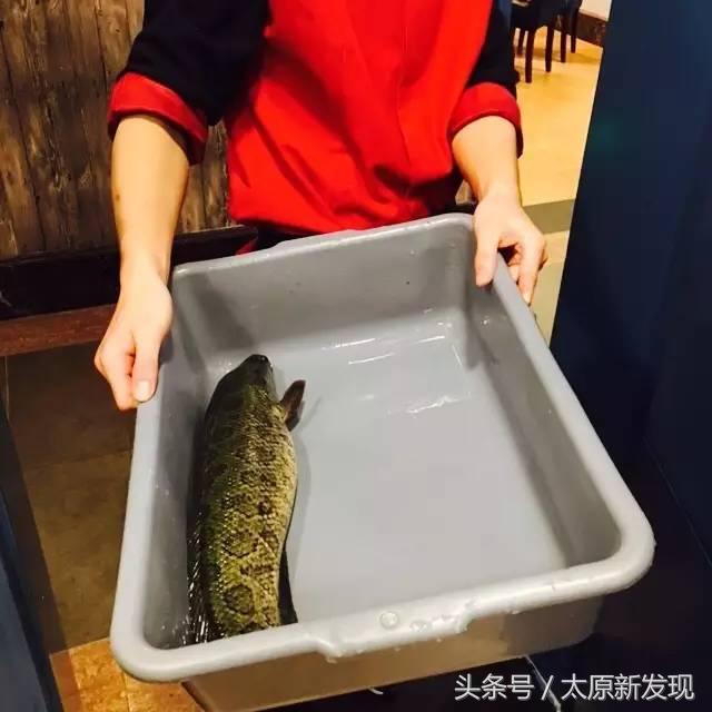 太原短发妹子注意咯！这家火锅3.9折！头发越短！折扣越大！