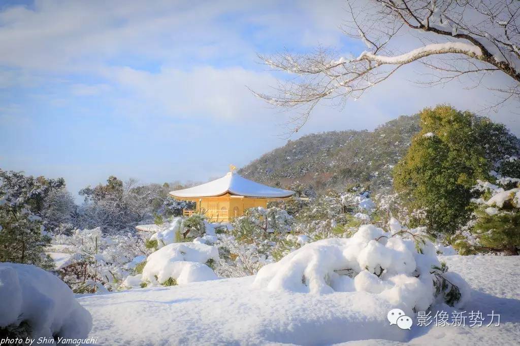 最值得买的腾龙镜头,腾龙有哪几款很好的老镜头