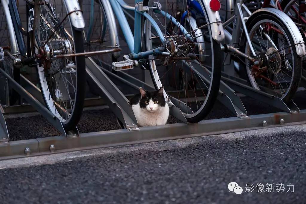 最值得买的腾龙镜头,腾龙有哪几款很好的老镜头