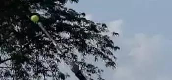 网球上旋球难回击,网球上旋球发全力不出界