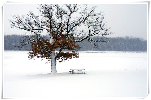tata木门免费保养流程,百年老木门裂缝翻新保养