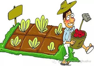 农场农产品销路如何,家庭农场可以加工销售农产品吗