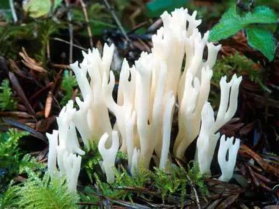 来一场浪漫的夏日之旅吧,适合三天两夜秋冬之旅