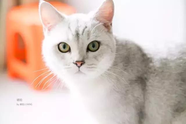 手机拍照技巧和构图方法讲解,手机拍照技巧之一基础构图技巧