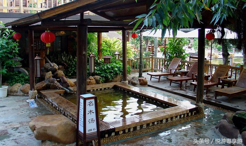 广东下周气温“跌”,不如一起去约“泡”吧...