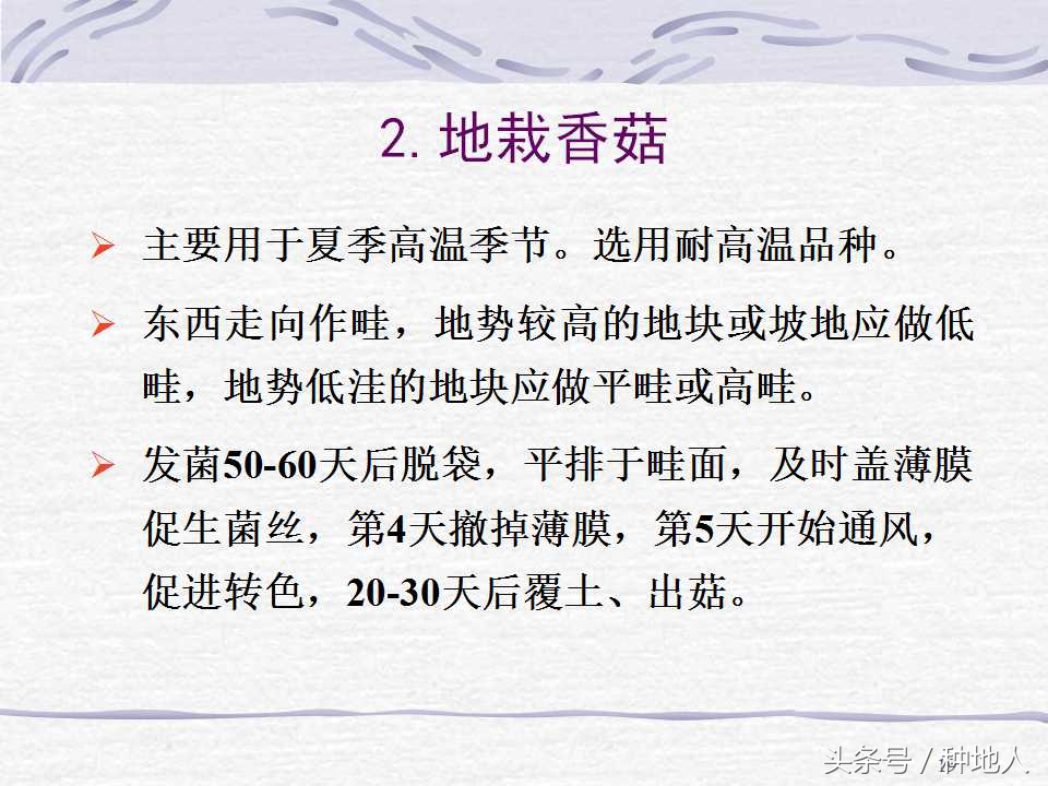 香菇栽培实用技术教案,屋顶香菇栽培