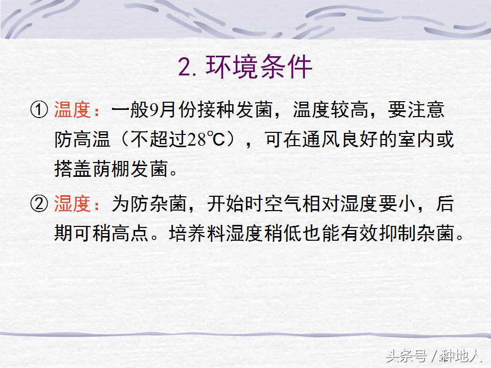 香菇栽培实用技术教案,屋顶香菇栽培