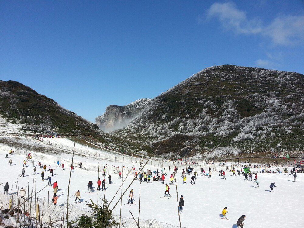 金佛山一日游从哪个门进好点,金佛山旅游攻略二天一夜