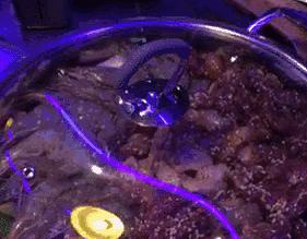 一品焖锅福清万达,西湖区焖锅哪家好吃