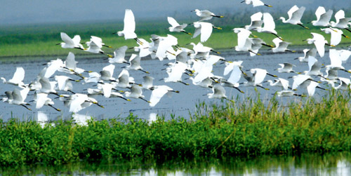 西安有没有浪漫的地方啊,西安适合情侣去的好去处
