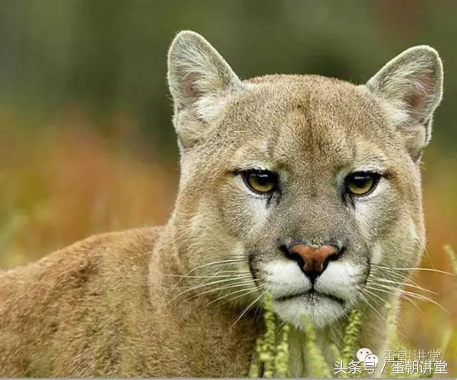 30买了一辆汽车开去打“Golf”，却被保安大叔拦下！