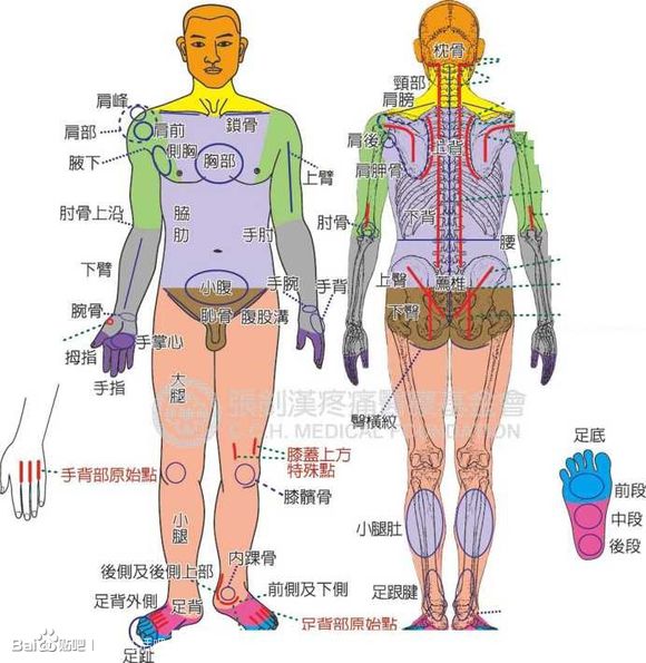 我学习原始点的故事