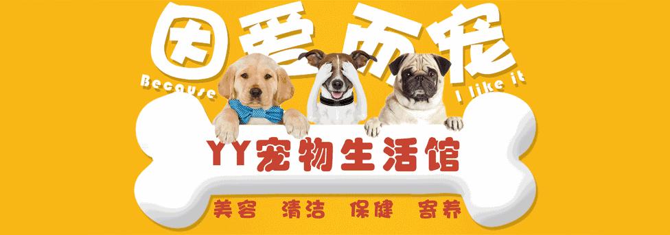 logo淇敼浣滀笟,banner鎺掔増璁捐鍟嗕笟