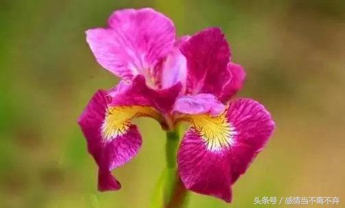 打工幽默顺口溜句子,卖货搞笑顺口溜经典句子