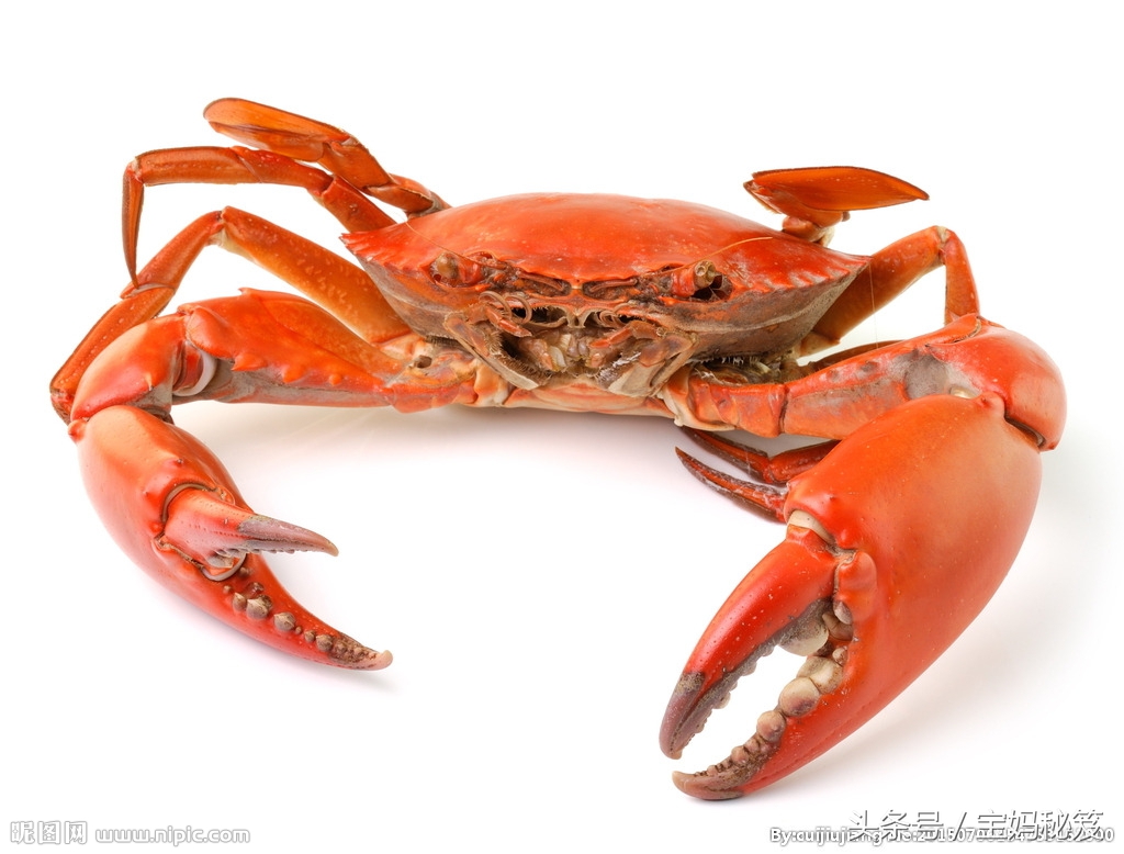 孕妇到底那些东西不能吃,孕期忌食食物