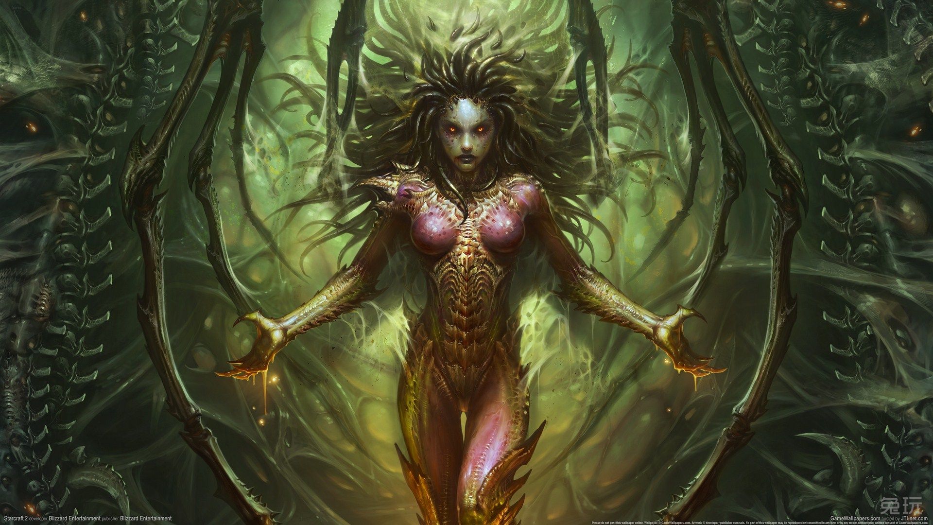 刀锋女王凯瑞甘的前世今生，身逢乱世，何以为情！