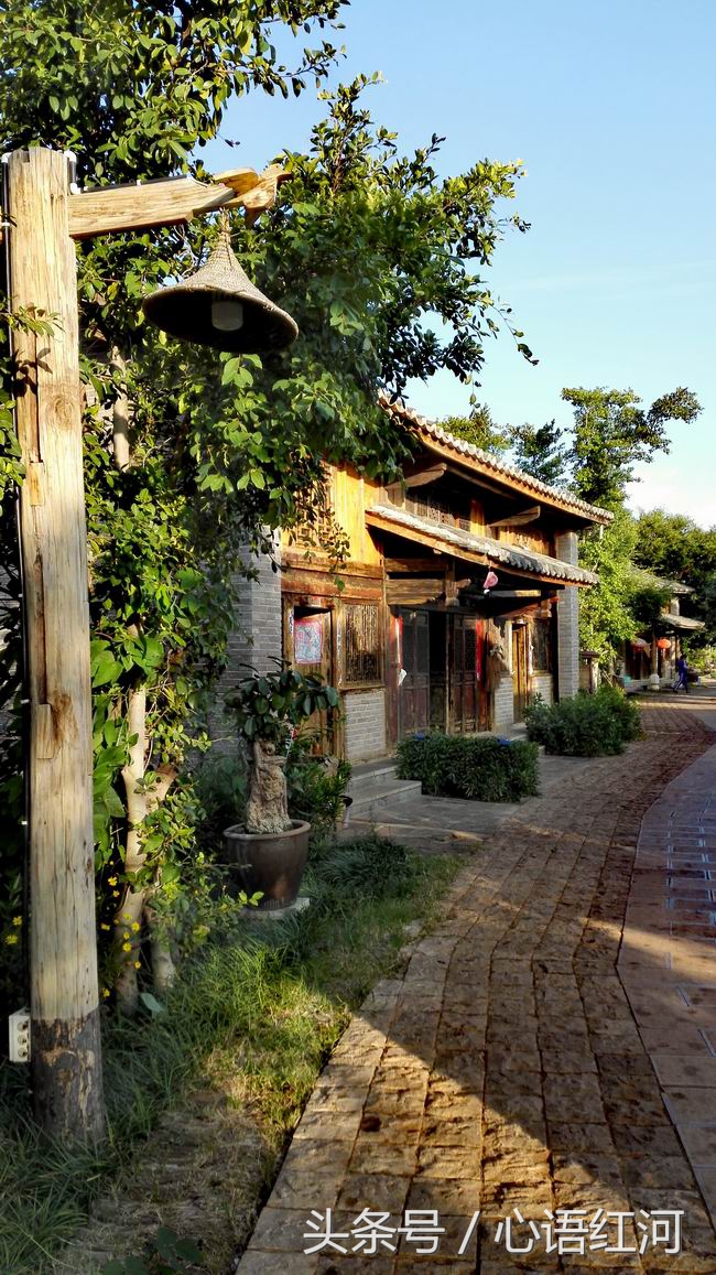 尼苏小镇打卡地,尼苏小镇是哪里