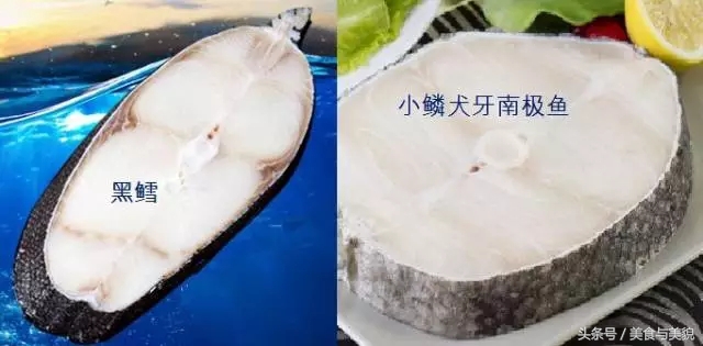 揭秘[海鲜中的李逵和李鬼们]之银鳕鱼。迄今最全最专业贴