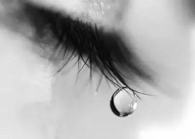 带未来的女主人看看房子啊（2）