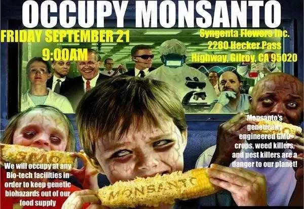 转基因食品该不该吃,转基因食物吃还是不吃