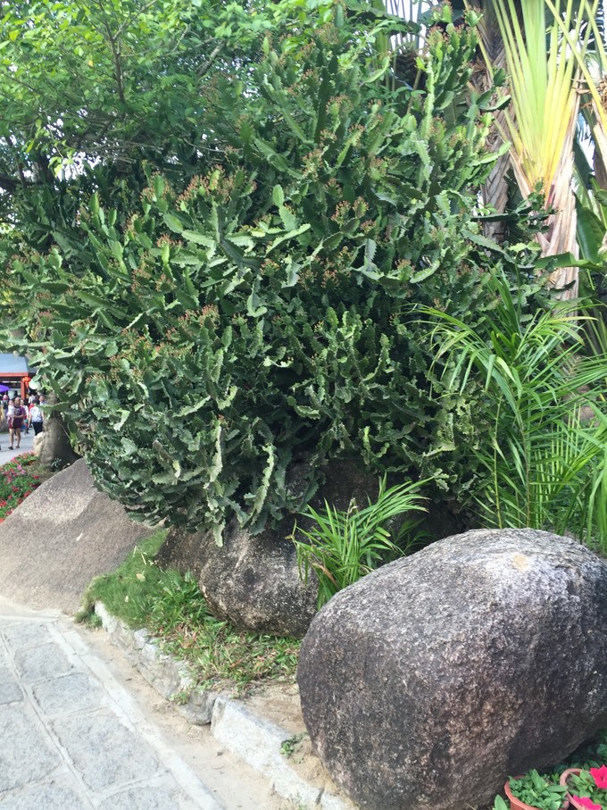 我的第一次出行视频,我的第一次不间断骑行100公里