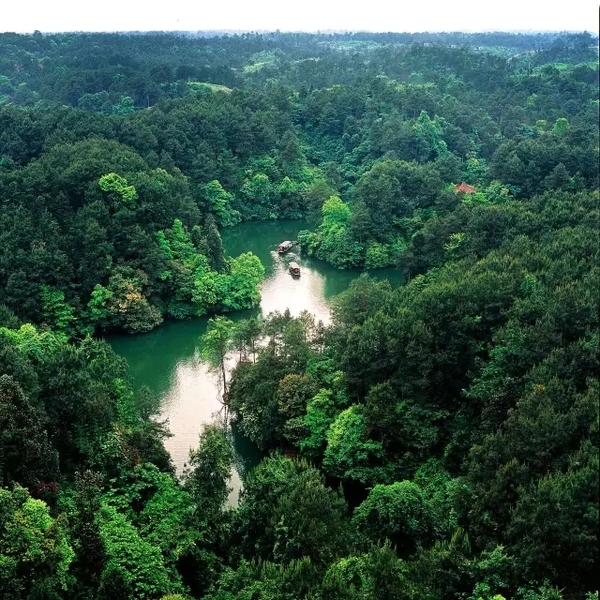 深秋来红叶谷图片,秋日遇见最美紫色花海