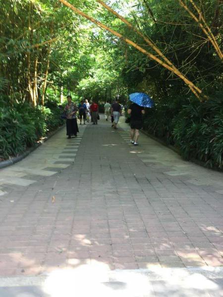 好吃到爆的海南美食,值得一尝的海南特色美食