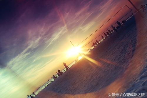 小二，来一碗毒鸡汤（你敢喝吗？）