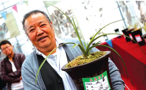 我省举行首届国兰叶艺博览会这钵“熊猫兰”有人出500万