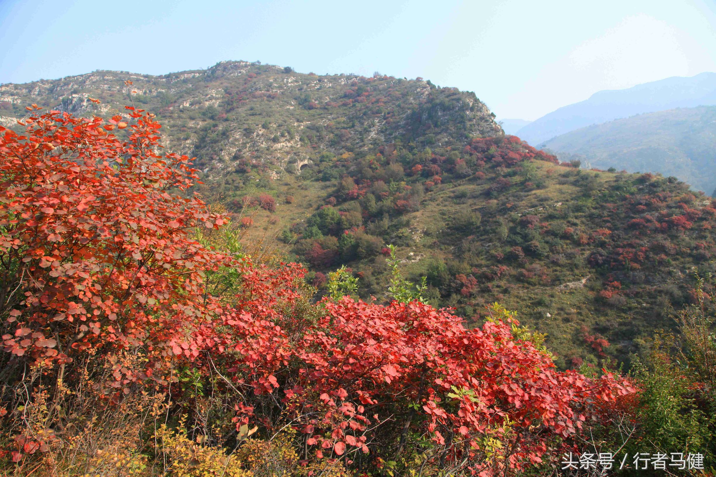 错过了邢台云梦山，太行山最大的红叶区，就相当于错过了整个秋天