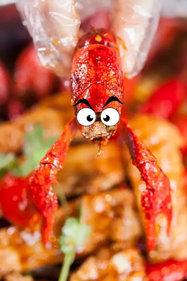 老板壕打5.8折,全年无休摄魂小龙虾,逼爆头我都要吃到Ta