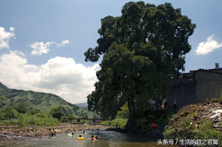 我的家乡崇阳市,家乡美我的故乡原唱