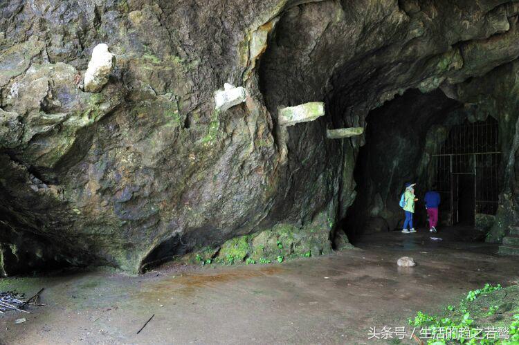 我的家乡崇阳市,家乡美我的故乡原唱