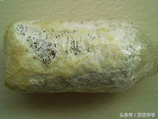 粉碎的玉米芯种植蘑菇方法和步骤,阳台种蘑菇的正确方法