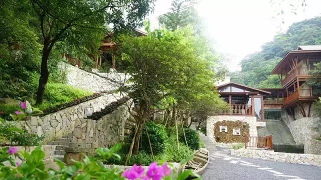 这就是2020年的清新,厉害了我的家乡!