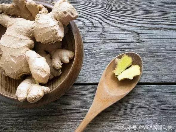 支气管哮喘秋天怎么调理 (季节性哮喘怎么治到秋天就犯病)