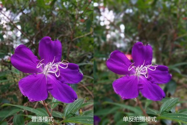 哪套三国杀比较好,平民玩家最好的阵容三国杀