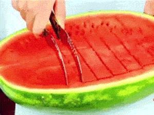 母象带小象过河搞笑,大象带小象搞笑