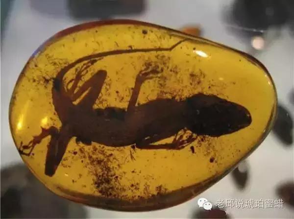 鎭掑疄鑰侀偙,鎭掑疄鐞ョ弨鑰侀偙鐩存挱