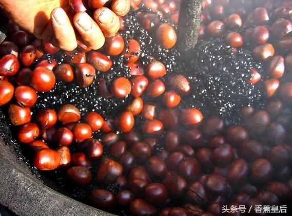 爱吃板栗的你不容错过,喜欢吃板栗的朋友们