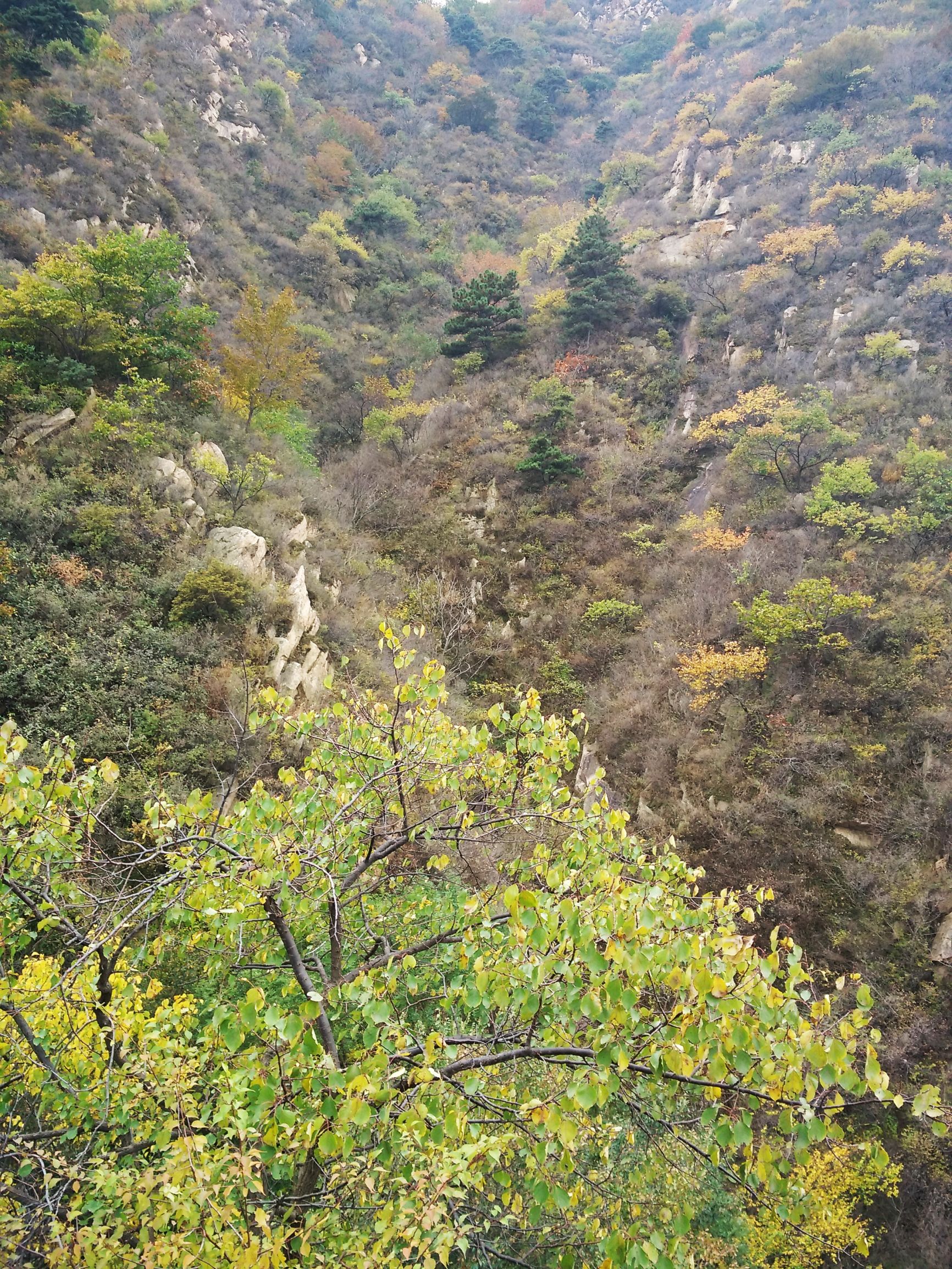 望峪山庄一日游攻略,望峪山