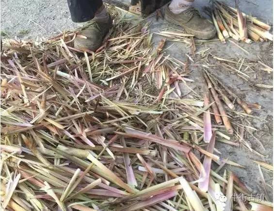 牛街自述,看完再也不嫌弃你了~~~