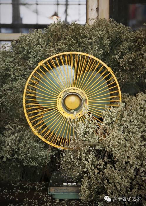 不要爱马仕不要LV,90后情侣花6万块造了个300㎡的大房子