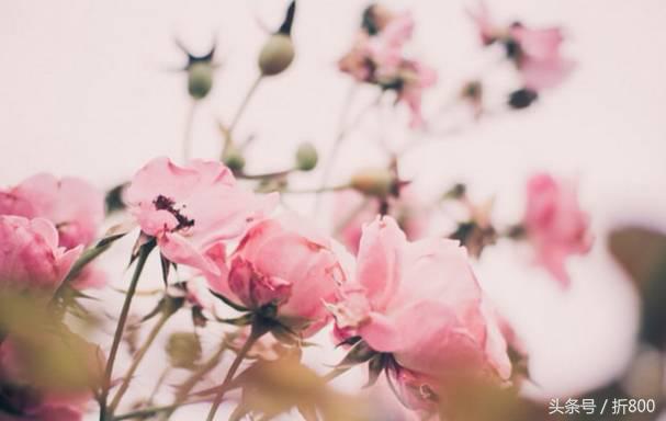 30岁之前要做十件事,20-30岁最应该做的3件事